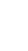 Paloneo
